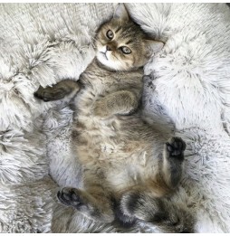 Legowiska dla Psa Kota Miękkie Posłanie Kojec Domek